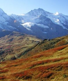 スイス山岳の秋色
